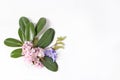 Spring botanical floral composition. Dcorative corner. Pink Japanese cherry blossoms, blue scilla flowers and evergreen