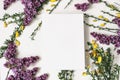 Spring botanical floral composition. Greeting card mockups scene. Decorative frame, banner made of purple lilac, yellow