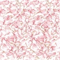 Spring botanical seamless pattern Delicate white pink sprigs of flowering apple tree on white background Royalty Free Stock Photo