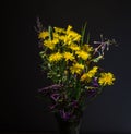 Spring bouquet, chamomile, Ivanchai, green grass, on a black background Royalty Free Stock Photo