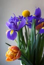 Spring bouquet detail with tulips and irises Royalty Free Stock Photo