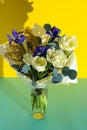 Spring bouquet of flowers. Irises, tulips, mimosa and eucalyptus. Yellow and blue flower. Bud close-up. Floral Royalty Free Stock Photo