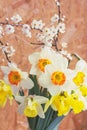 Spring bouquet of flowers of narcissus and blooming twigs of fruit tree