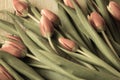 Spring bouquet of flowers of pink tulips on wooden - image