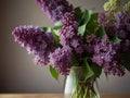 A spring bouquet of fresh cut fragrant purple lilacs in a vase.