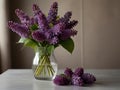 A spring bouquet of fresh cut fragrant purple lilacs in a vase.