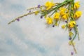 Spring bouquet with fresh daffodils, primroses and willow branches on the blue sky background