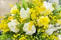 Spring bouquet for the International Women`s Day on March 8 from the mimosa of white tulips and daffodils Royalty Free Stock Photo