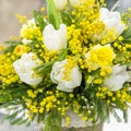 Spring bouquet for the International Women`s Day on March 8 from the mimosa of white tulips and daffodils Royalty Free Stock Photo