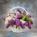 Spring bouquet. Lily of the valley and lilac in a basket