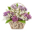 Spring bouquet. Lily of the valley and lilac in a basket isolate Royalty Free Stock Photo