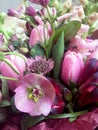 Spring bouquet of mixed colorful flowers. Flowers bouquet including tulips, Astrantia, Snapdragon Antirrhinum , Alstroemeria.