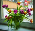 Spring bouquet of multicolored tulips in glass jar on windowsill against light, selective focus Royalty Free Stock Photo