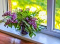 Bouquet of lillac or syringa vulgaris flowers in a window sill Royalty Free Stock Photo