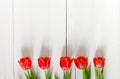 Spring bouquet of red tulips and a card in an envelope Royalty Free Stock Photo