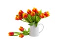 Spring bouquet of red yellow tulip in white jug isolated on white background Royalty Free Stock Photo