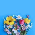 Spring bouquet of tulips and daffodils on a blue background. Delicate flower arrangement. Royalty Free Stock Photo