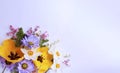 Spring bouquet of tulips, daffodils and lilies of the valley on a white background. Yellow, white and pink flowers. Royalty Free Stock Photo