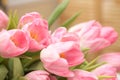 Spring bouquet tulips pink flowers close