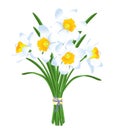 Spring bouquet of white daffodils Royalty Free Stock Photo