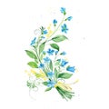 Spring bouquet wildflowers forget-me-nots and bells, forest herbs. Folk pattern.