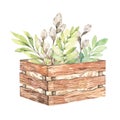 Spring bouquet with willow blossom, green leaves and branches in wooden rustic box. Watercolor botanical illustration. Perfect for