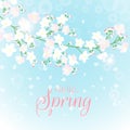 Spring branch card. Blossoming tree brunch with flowers vector