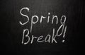 Spring break written in white chalk on a black chalkboard Royalty Free Stock Photo