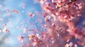 Spring Breeze Through Cherry Blossoms at Daytime