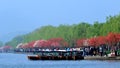 The spring breeze TaoGongLiuLu attraction The west lake bai causeway