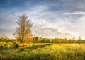 Spring bright landscape of meadow and scenery shore of river with trees and green grass. Rural natural scene. Nature background Royalty Free Stock Photo
