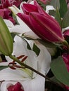 Spring buds and colored lilies in arrangment in spring daytime Royalty Free Stock Photo