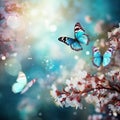 Spring butterfly background