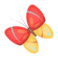 Spring butterfly. Easter single icon in cartoon style vector symbol stock illustration.