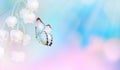 spring butterfly on a flower background, vintage toning blue background, summer, butterfly nature beautiful