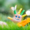 Spring Royalty Free Stock Photo