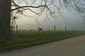 Spring, Cades Cove, Great Smoky Mtns NP Royalty Free Stock Photo