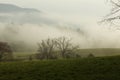 Spring, Cades Cove, Great Smoky Mtns NP Royalty Free Stock Photo