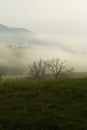 Spring, Cades Cove, Great Smoky Mtns NP, Royalty Free Stock Photo