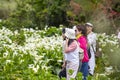 spring, calla lily park, ornamental, white calla lily, tourists, calla lily, flowers
