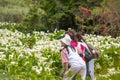 spring, calla lily park, ornamental, white calla lily, tourists, calla lily, flowers