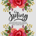 spring card rose arrangement border frames Royalty Free Stock Photo