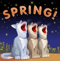 Spring card with cats