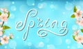 Spring Card with Cherry Blossom, Calligraphic Text Royalty Free Stock Photo