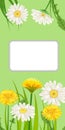 Spring card of floral flowers dandelions and daisies, chamomiles, grass background. Colorful spring vertical banner Royalty Free Stock Photo