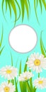 Spring card of floral flowers dandelions and daisies, chamomiles, grass background. Colorful spring vertical banner Royalty Free Stock Photo