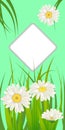 Spring card of floral flowers dandelions and daisies, chamomiles, grass background. Colorful spring vertical banner Royalty Free Stock Photo