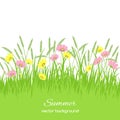 Spring card with grass, flowers Royalty Free Stock Photo