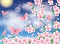 Spring card with sakura and butterfly Royalty Free Stock Photo