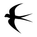 Spring cartoon black and white swallow in motion isolated on white background. Royalty Free Stock Photo